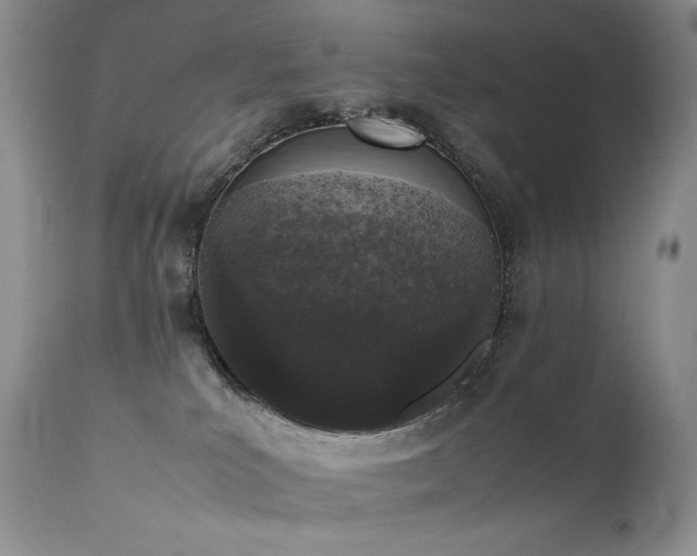 X0000111450039200907131340