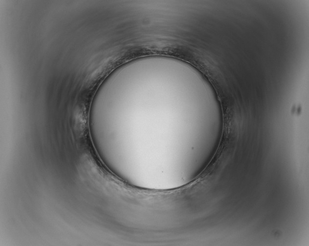 X0000111450040200907131340