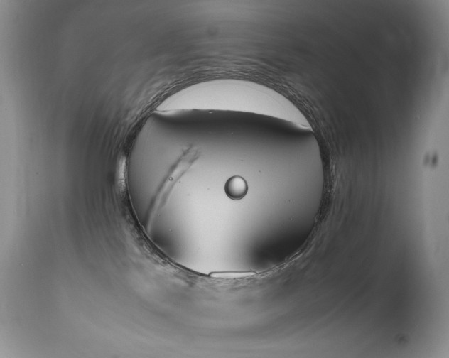 X0000111450041200907131340