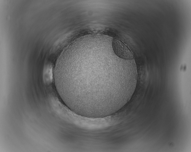 X0000111450042200907131339