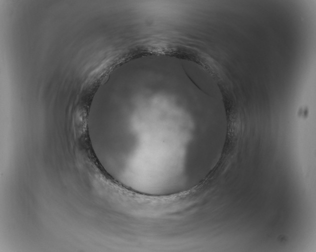 X0000111450043200907131339