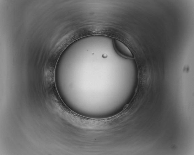 X0000111450044200907131339