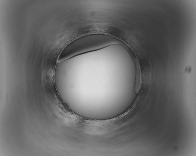 X0000111450045200907131339