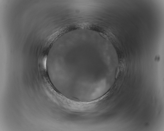 X0000111450047200907131339