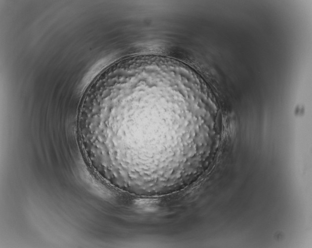 X0000111450051200907131338