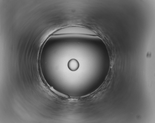 X0000111450052200907131338