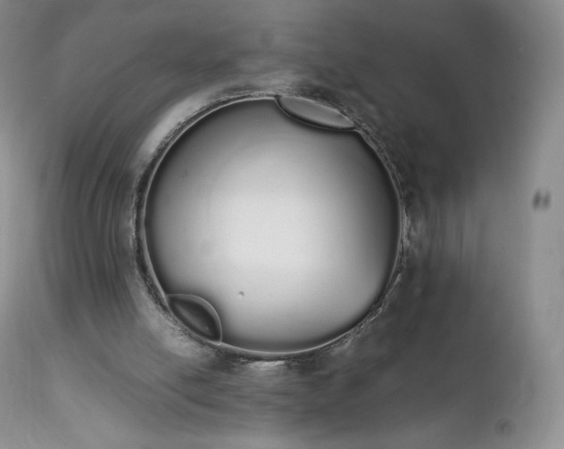 X0000111450054200907131338