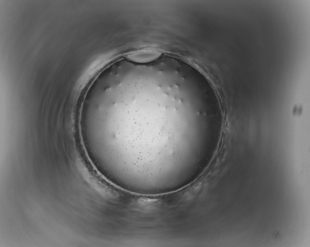 X0000111450055200907131338
