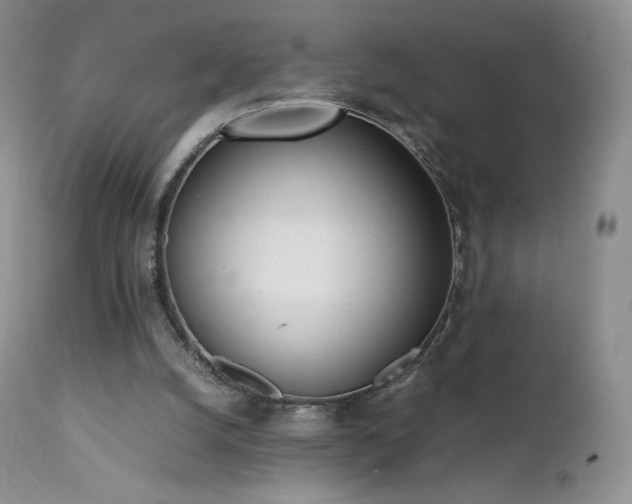 X0000111450056200907131339