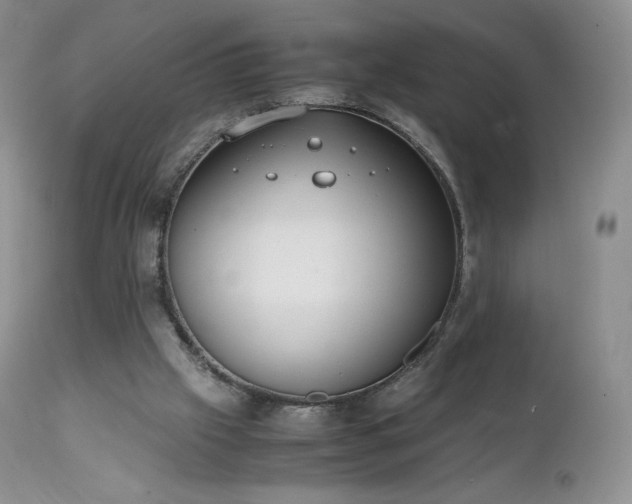 X0000111450057200907131339