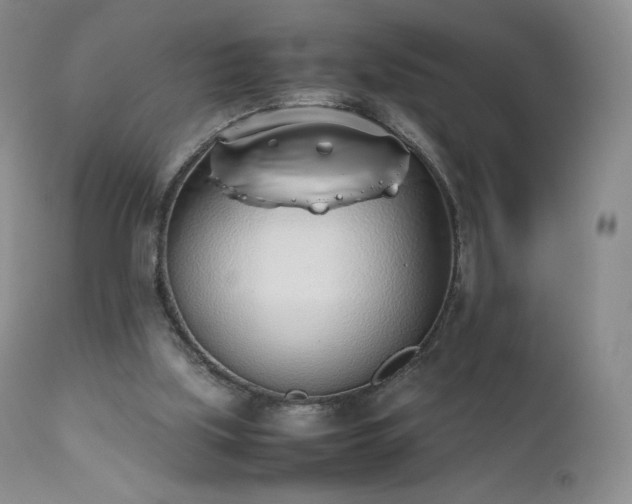 X0000111450059200907131339