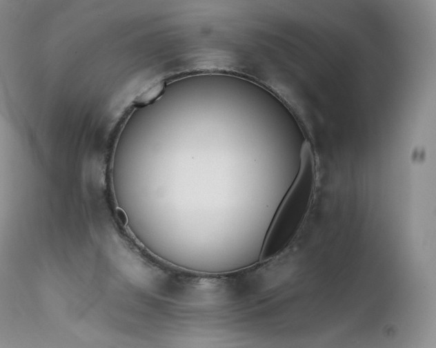 X0000111450060200907131339