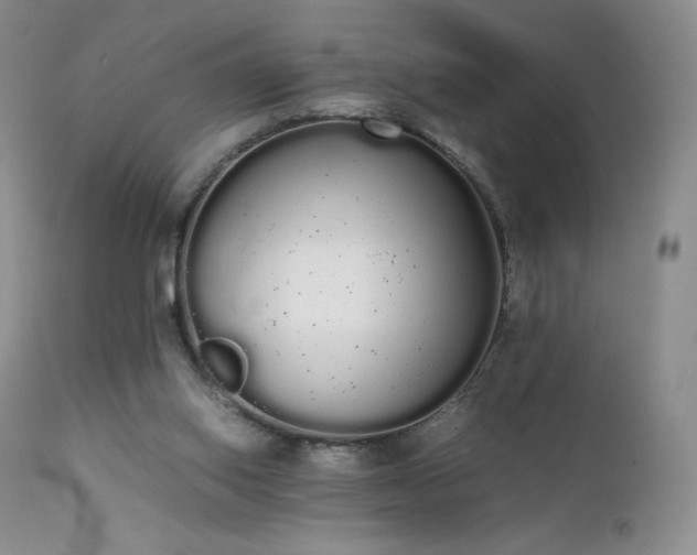 X0000111450062200907131339