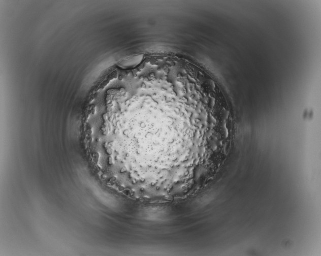 X0000111450063200907131339