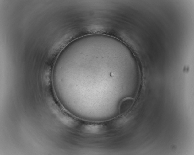 X0000111450065200907131339