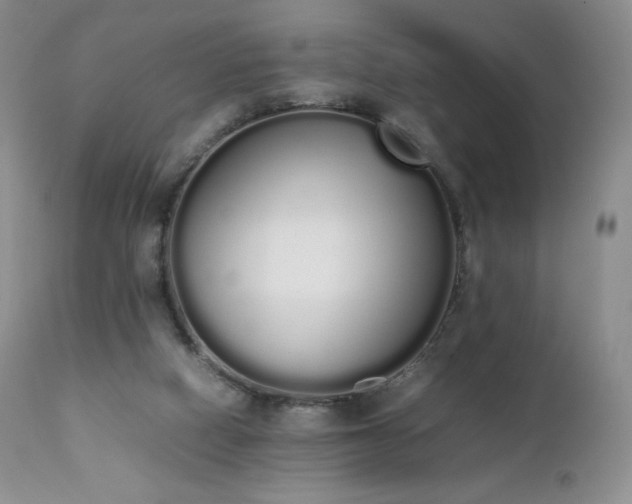 X0000111450066200907131339