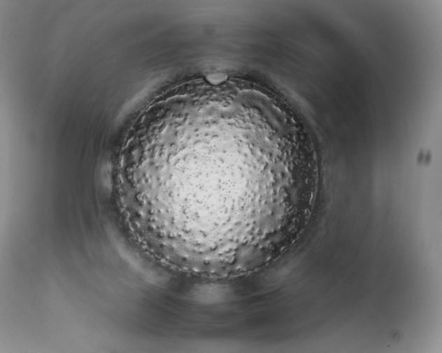 X0000111450067200907131339