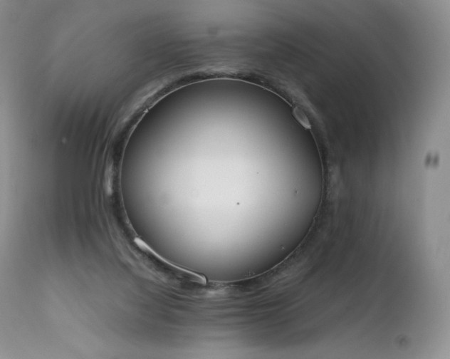 X0000111450068200907131339