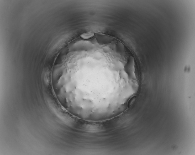 X0000111450069200907131339