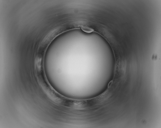 X0000111450070200907131339