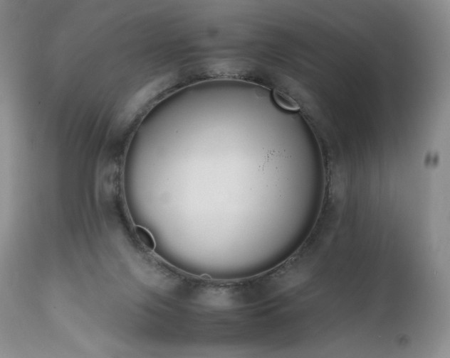 X0000111450071200907131339