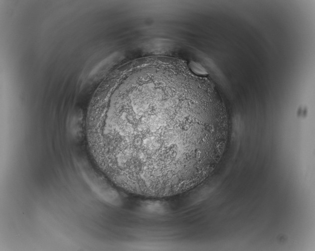 X0000111450073200907131339