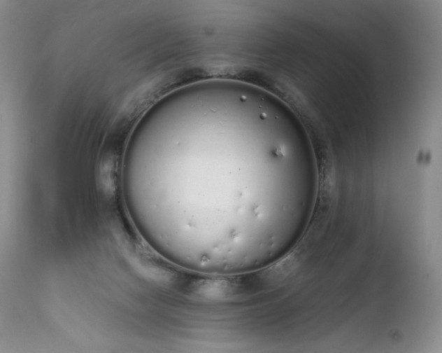 X0000111450074200907131339