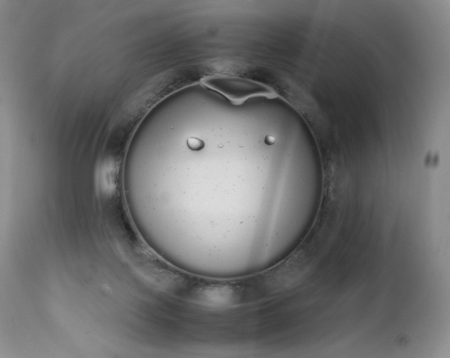 X0000111450075200907131339