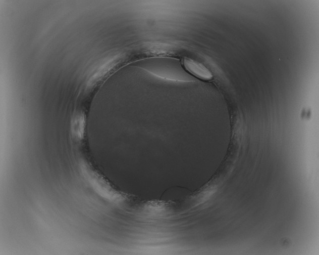 X0000111450076200907131339