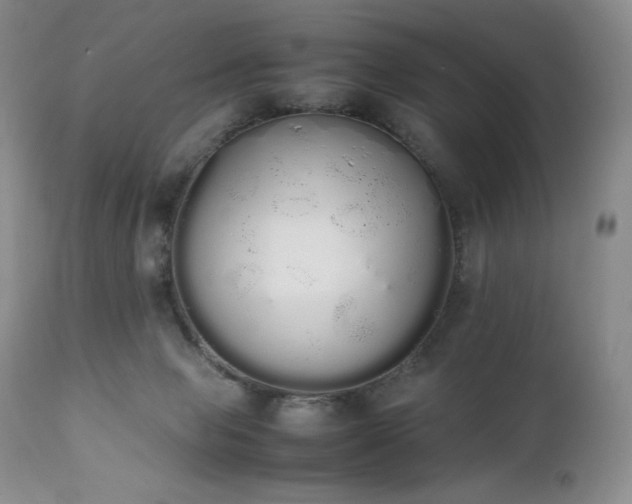 X0000111450077200907131339