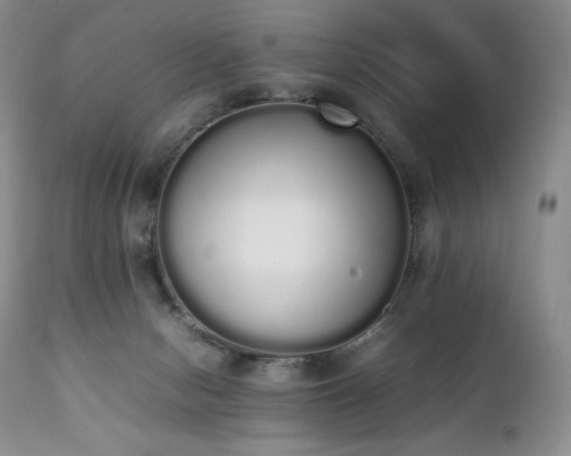 X0000111450078200907131339