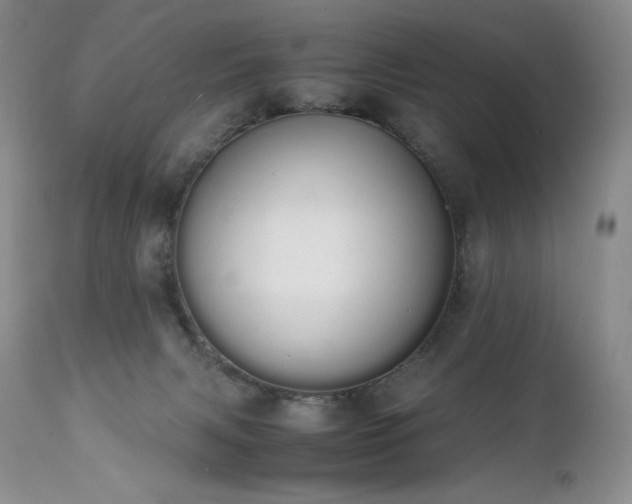 X0000111450079200907131339