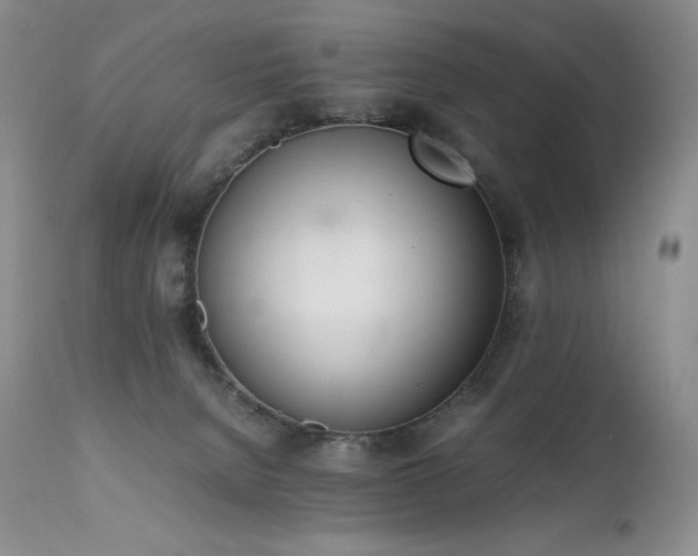 X0000111450080200907131339