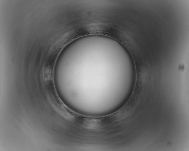 X0000111450081200907131339