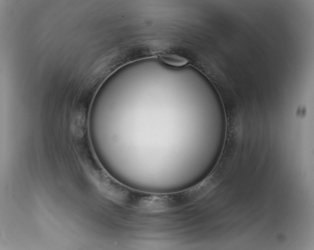 X0000111450082200907131339