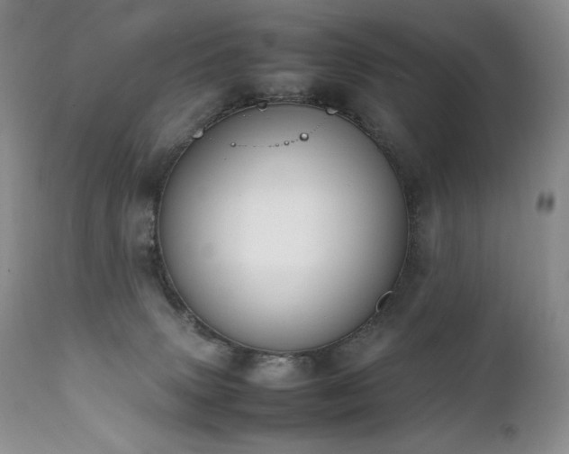 X0000111450083200907131339