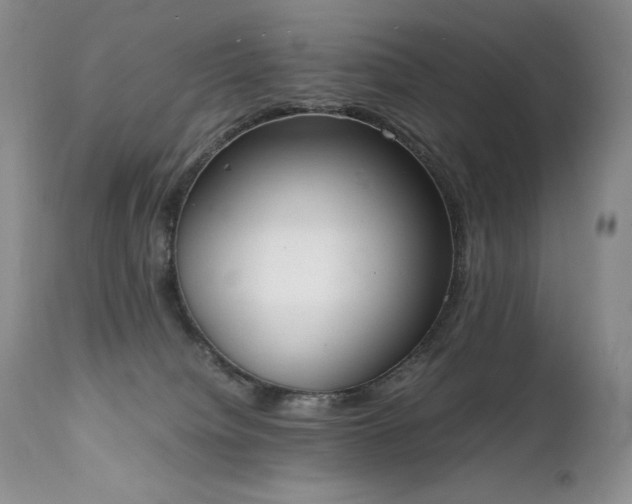 X0000111450084200907131339