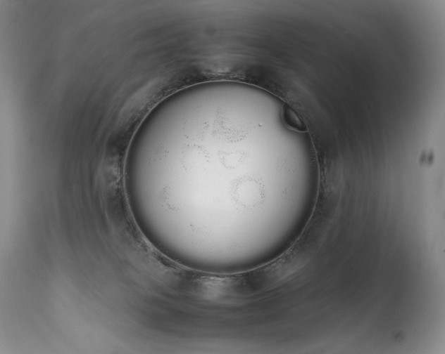 X0000111450085200907131339