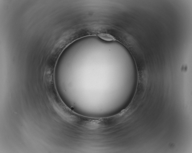 X0000111450086200907131339