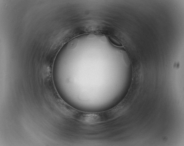 X0000111450087200907131339