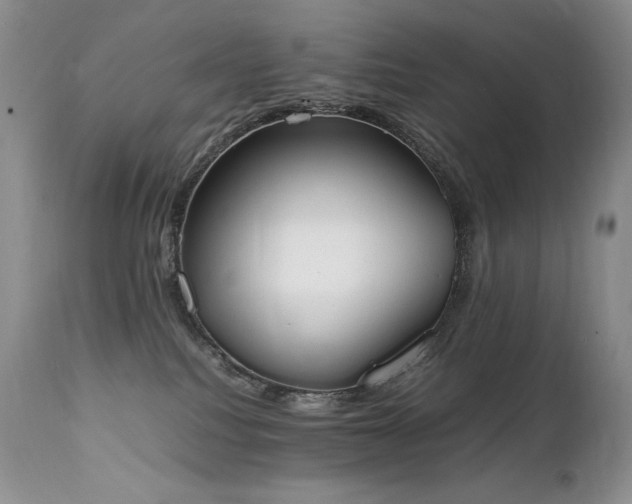 X0000111450088200907131339