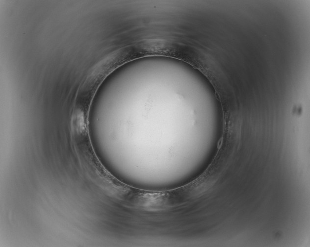 X0000111450089200907131339