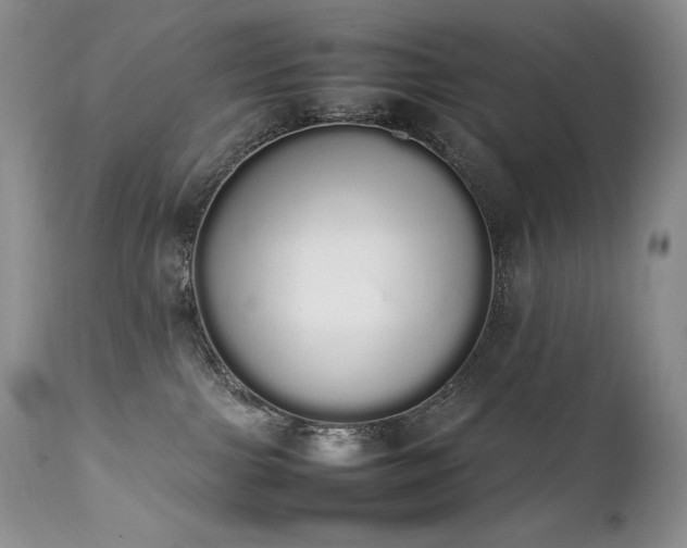 X0000111450091200907131339