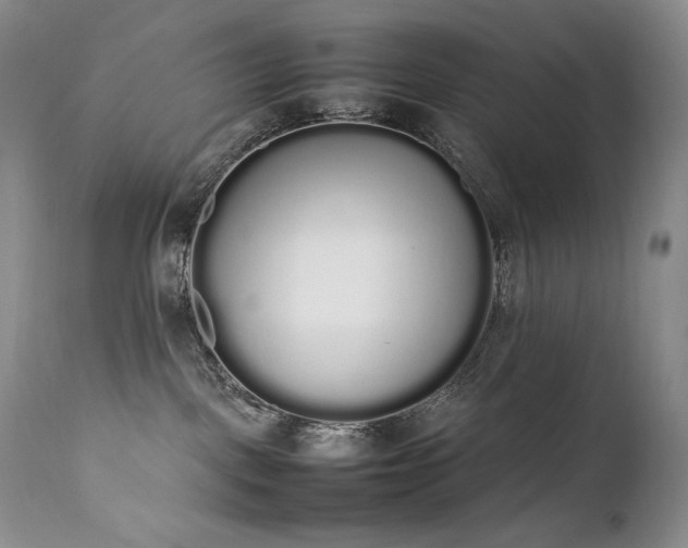 X0000111450093200907131339