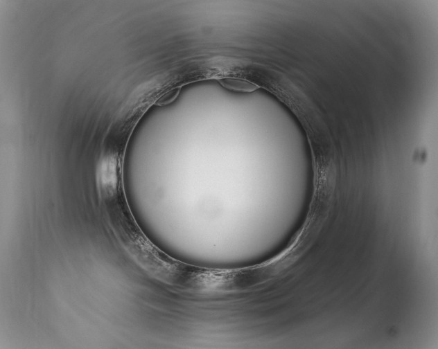 X0000111450094200907131339