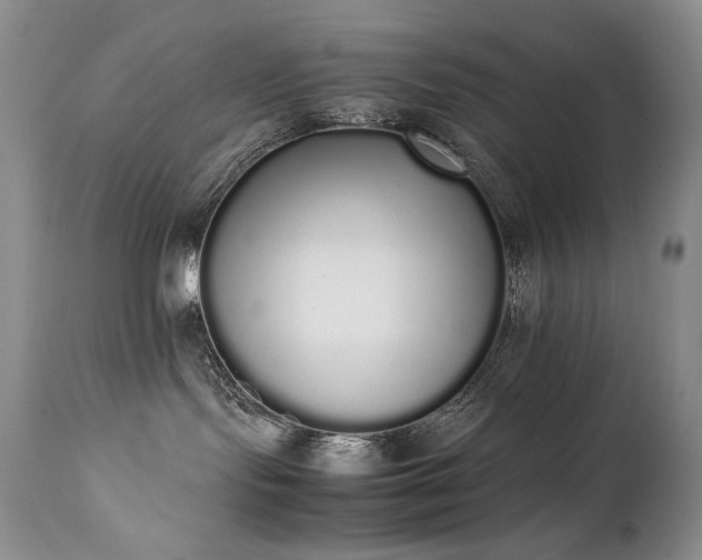 X0000111450095200907131339