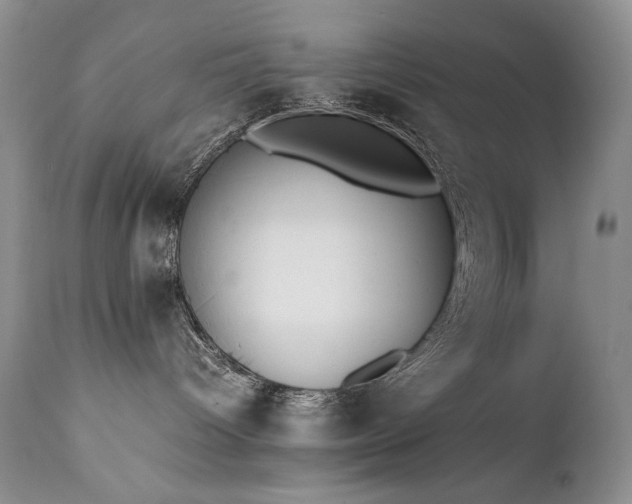 X0000111450096200907131339