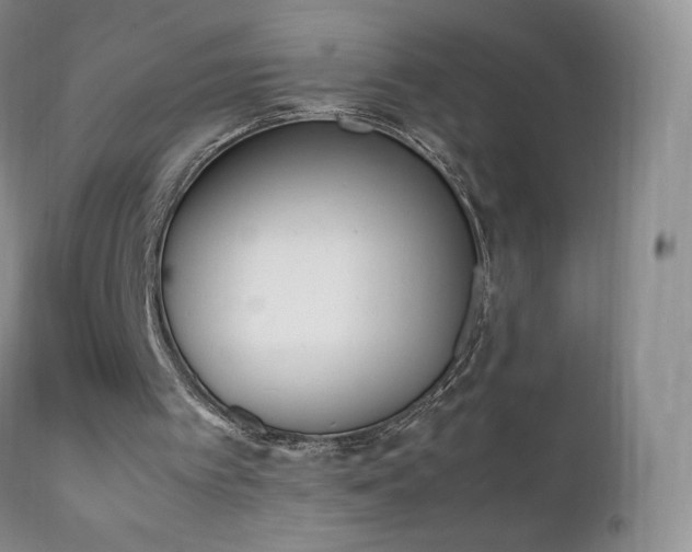 X0000111450097200907131338