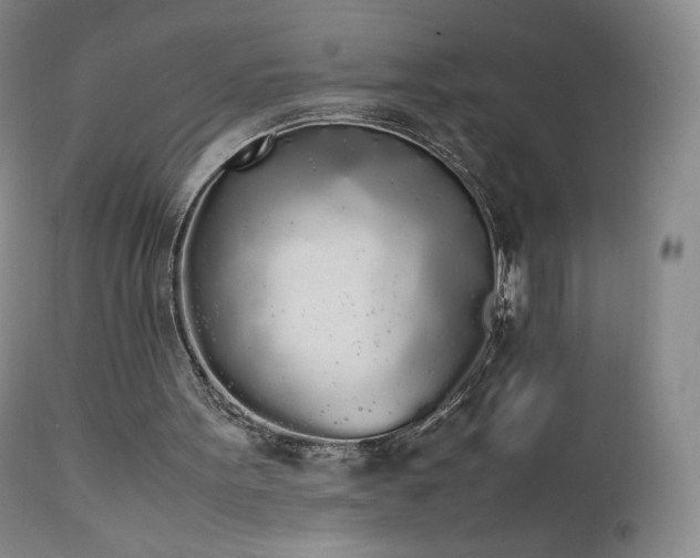 X0000111450099200907131338