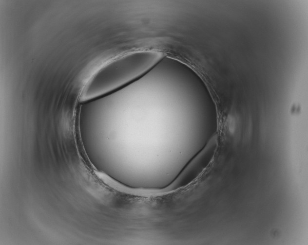 X0000111450100200907131338
